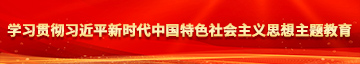 被轮插网址大全学习贯彻习近平新时代中国特色社会主义思想主题教育